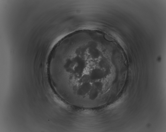 X0000093530779200710191352