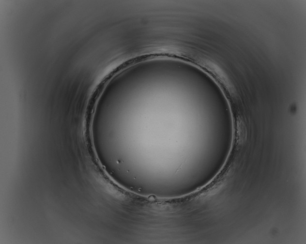 X0000093530780200710191352