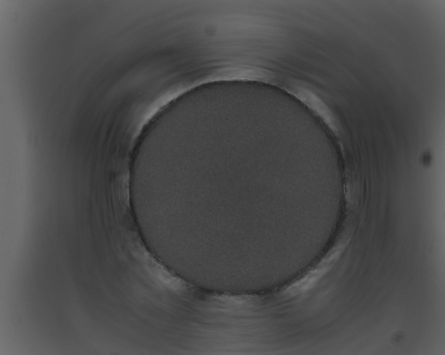 X0000093530781200710191352