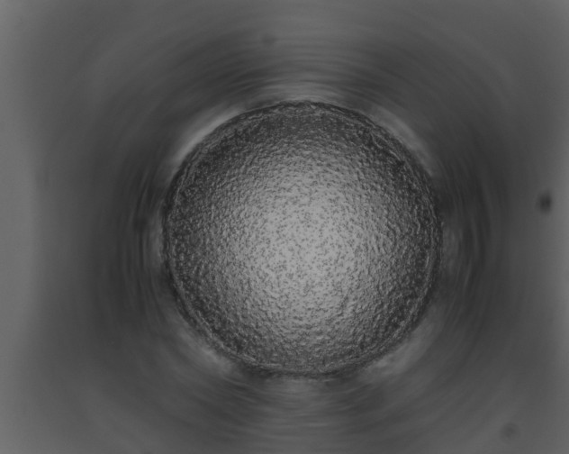 X0000093530782200710191352