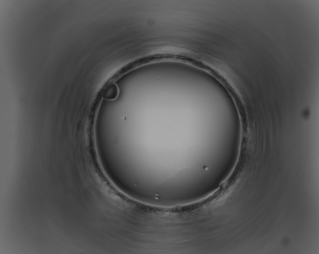 X0000093530783200710191352