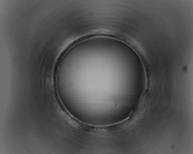 X0000093530784200710191352