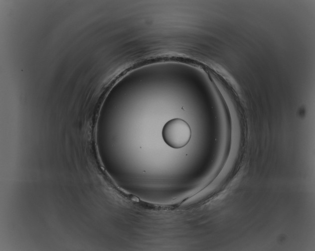 X0000093530785200710191352