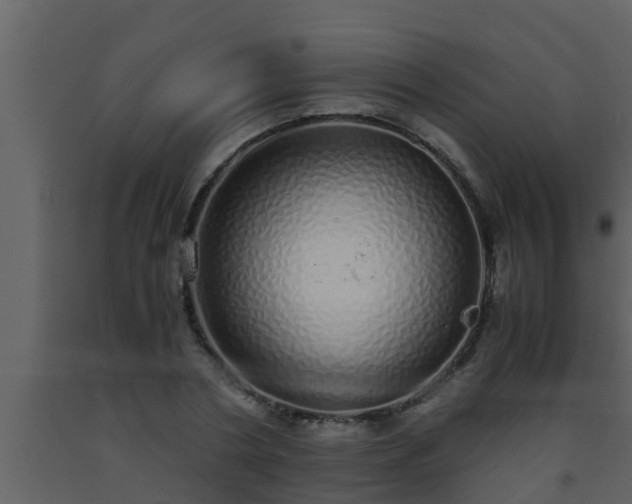 X0000093530786200710191352