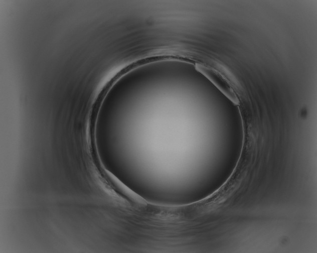 X0000093530788200710191352