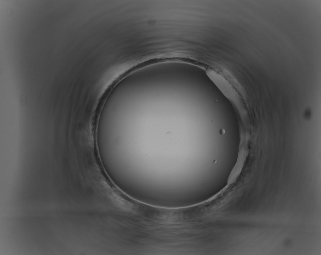 X0000093530789200710191352