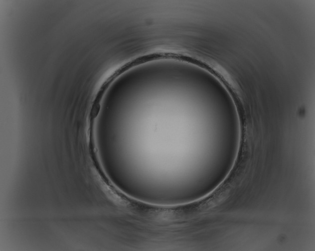 X0000093530791200710191352