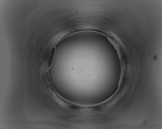 X0000093530793200710191352