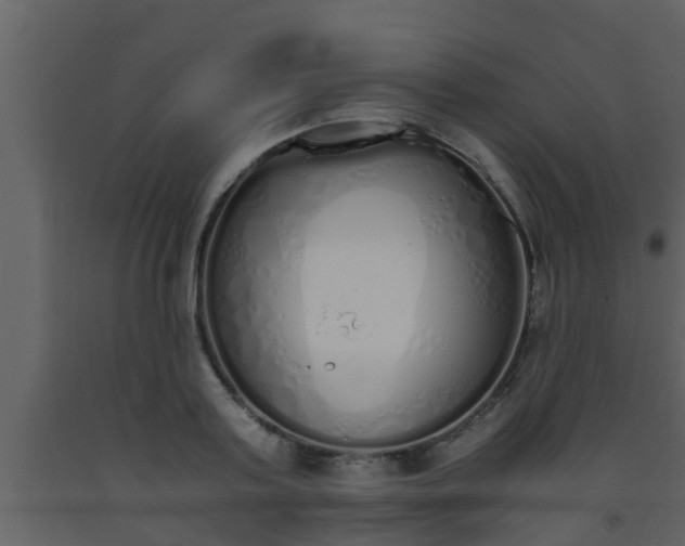 X0000093530795200710191352