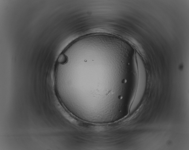 X0000093530796200710191352