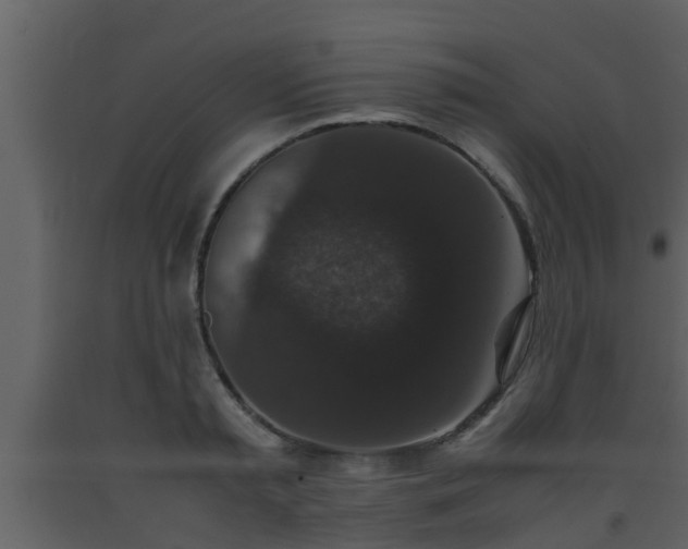 X0000093530797200710191352