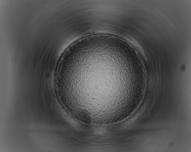 X0000093530798200710191352