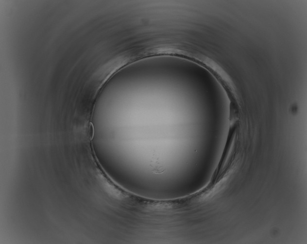 X0000093530801200710191352