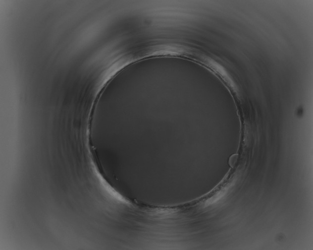 X0000093530802200710191352