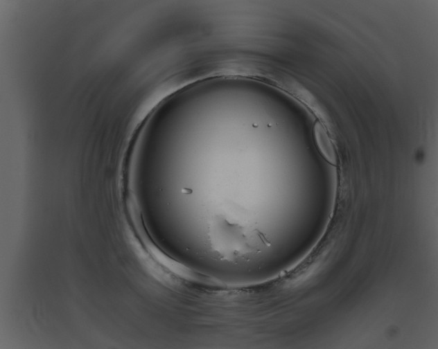 X0000093530803200710191352