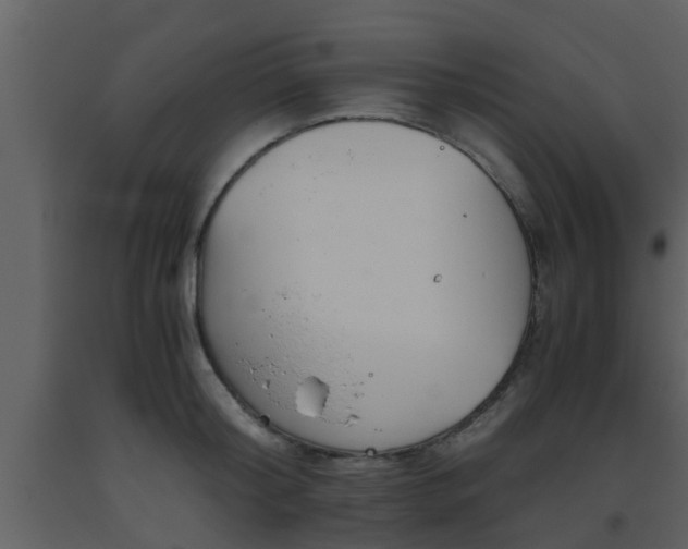 X0000093530804200710191352