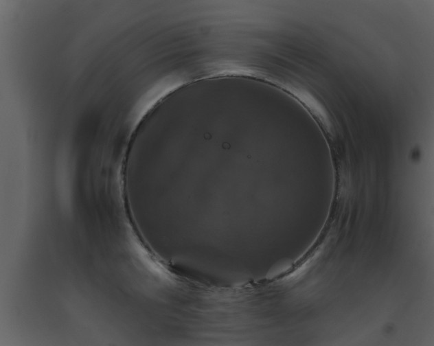 X0000093530806200710191352