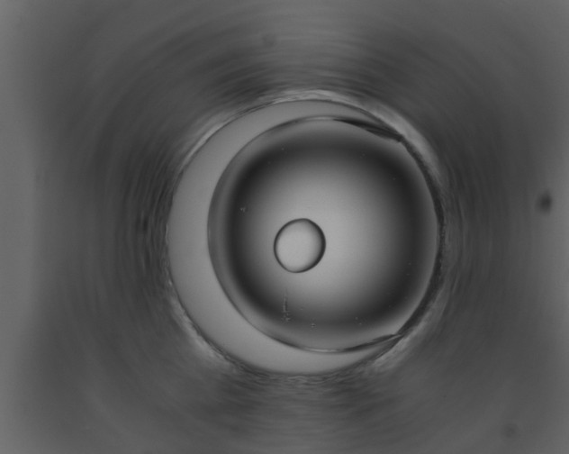X0000093530809200710191352