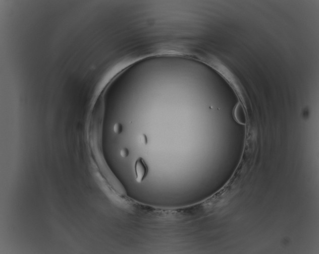 X0000093530811200710191352