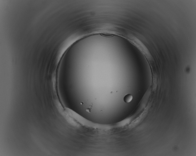 X0000093530812200710191352
