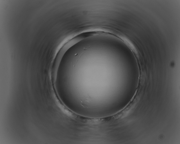 X0000093530813200710191352