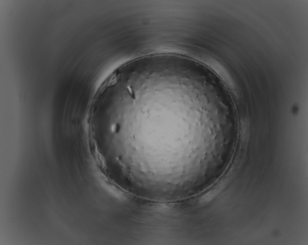 X0000093530814200710191352