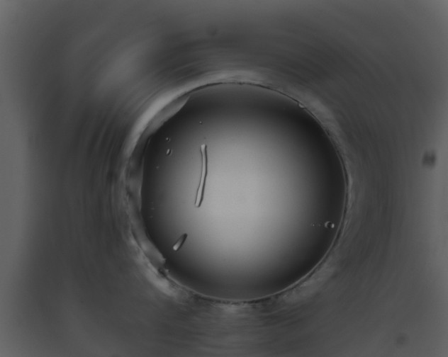 X0000093530816200710191352