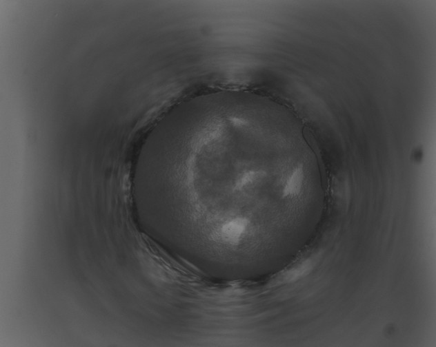 X0000093530818200710191351