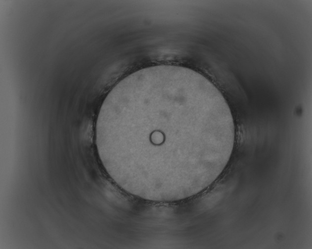 X0000093530820200710191351
