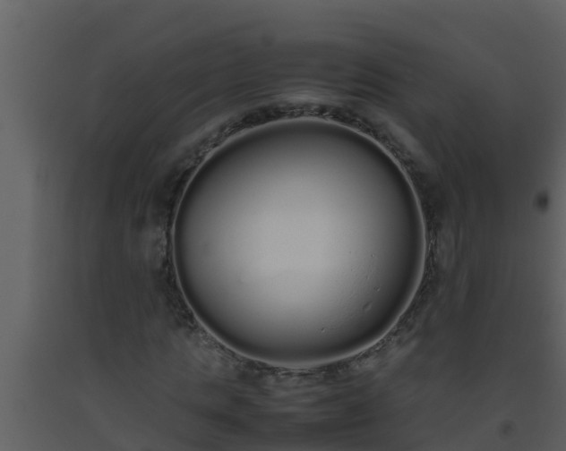 X0000093530821200710191351