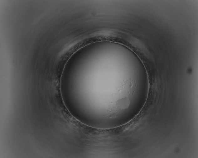 X0000093530822200710191351