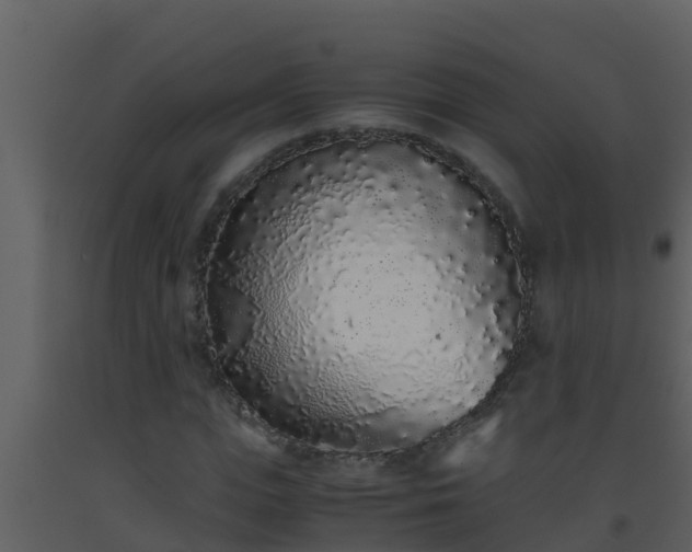 X0000093530823200710191351