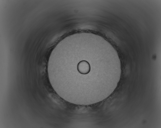 X0000093530824200710191351