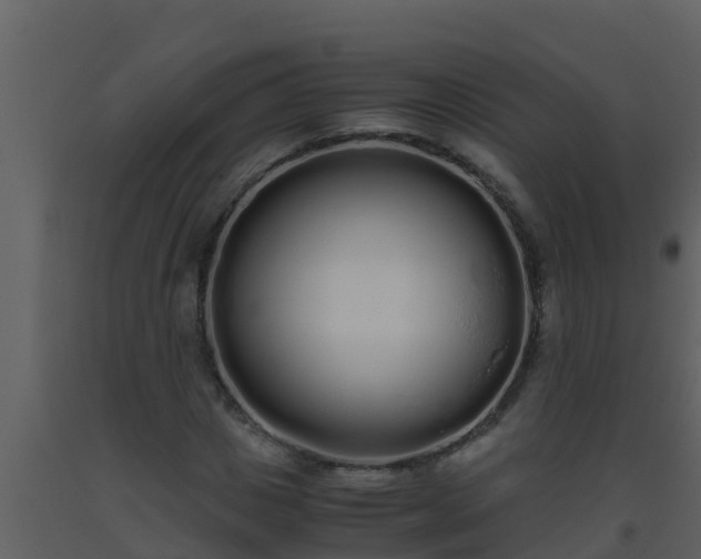X0000093530825200710191351