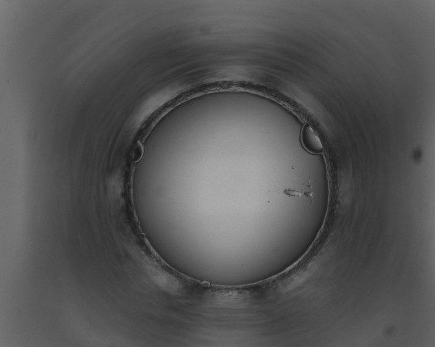 X0000093530826200710191351
