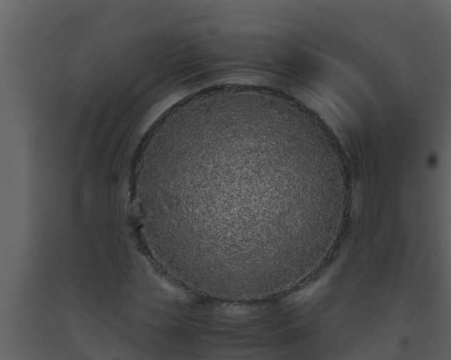 X0000093530829200710191351