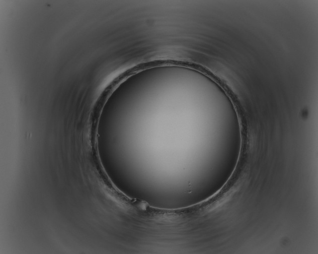 X0000093530830200710191352