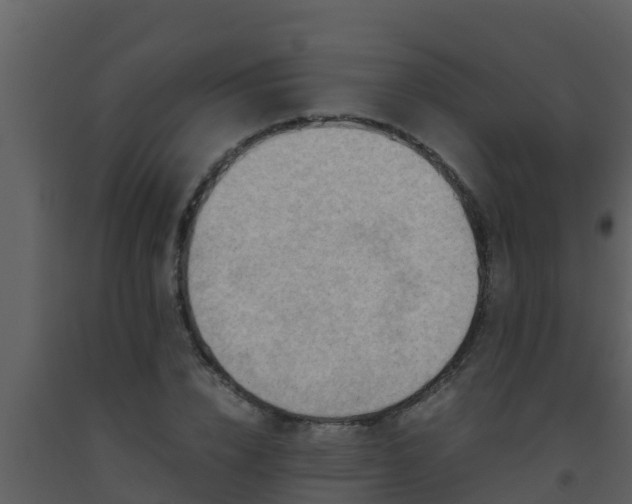 X0000093530832200710191352