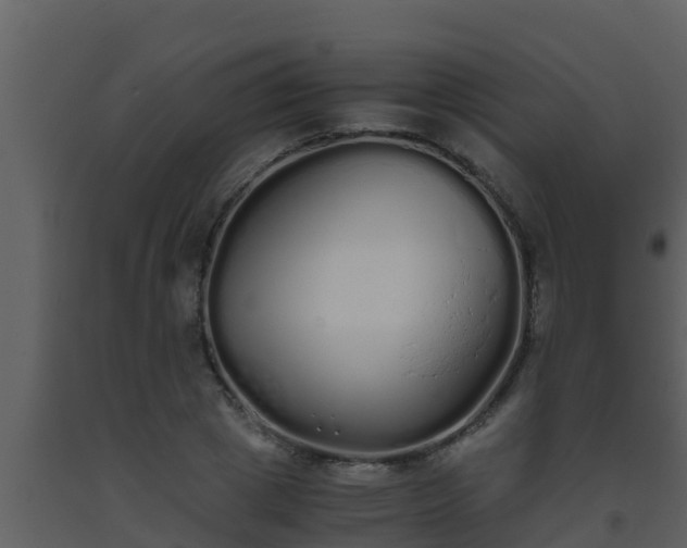 X0000093530833200710191352