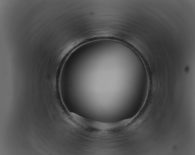 X0000093530834200710191352