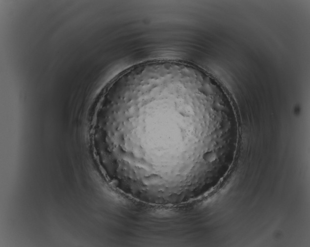X0000093530835200710191352