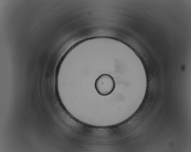 X0000093530836200710191352