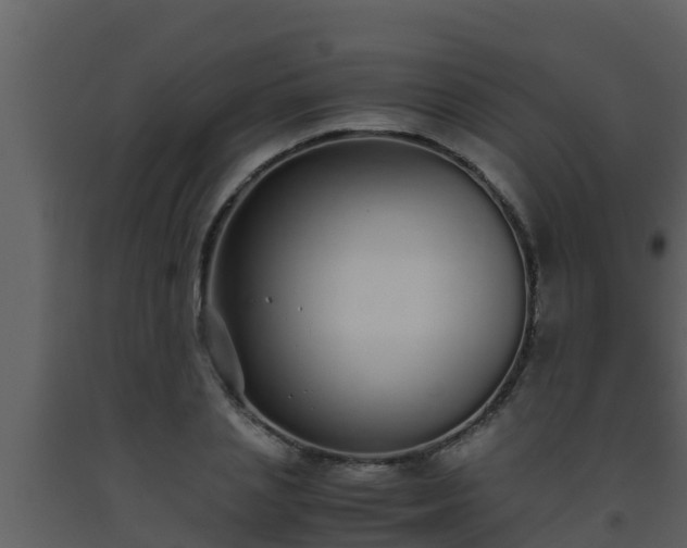 X0000093530837200710191352