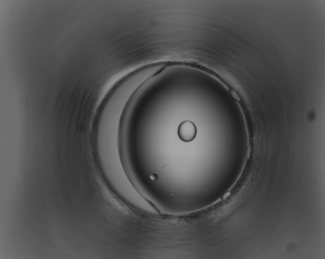 X0000093530838200710191352