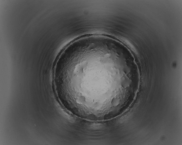X0000093530839200710191352