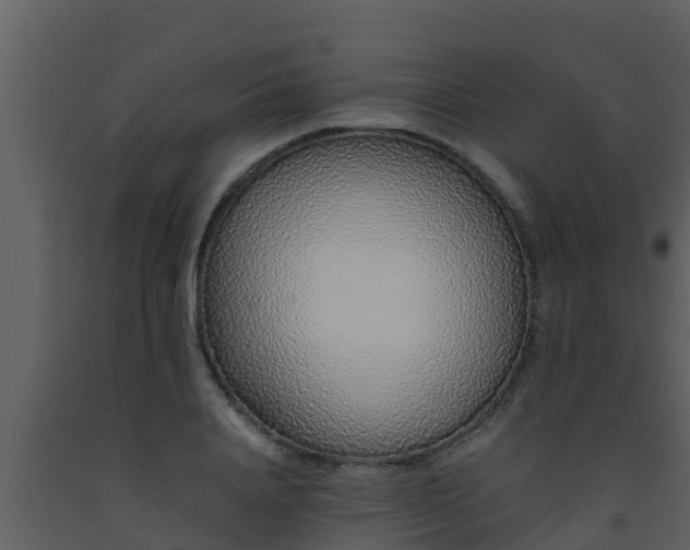 X0000093530840200710191352