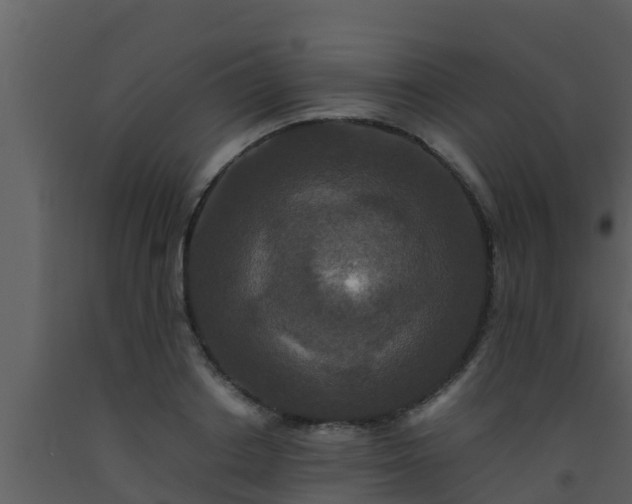 X0000093530842200710191352