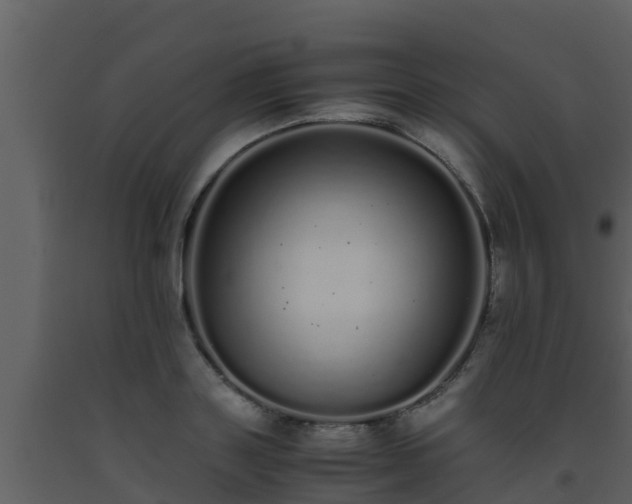 X0000093530843200710191352