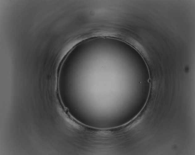 X0000093530844200710191352