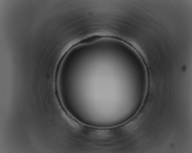 X0000093530845200710191352